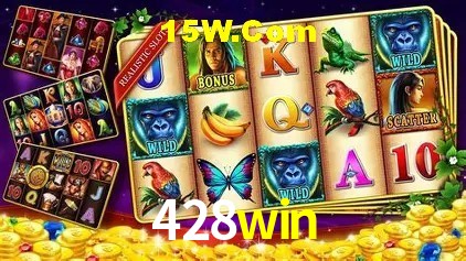 Sistemas de Segurança 428win